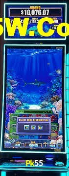VIP Casino Pk55