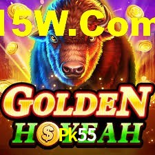 Programa VIP Pk55