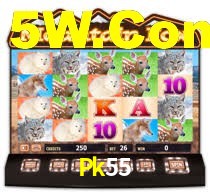 Experimente o Login Seguro Premium no Pk55